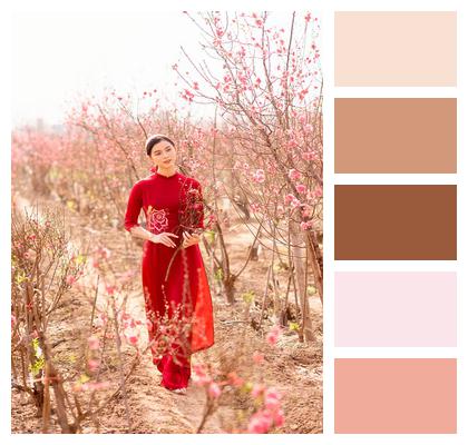 Woman Asian Clothing Peach Blossoms Image